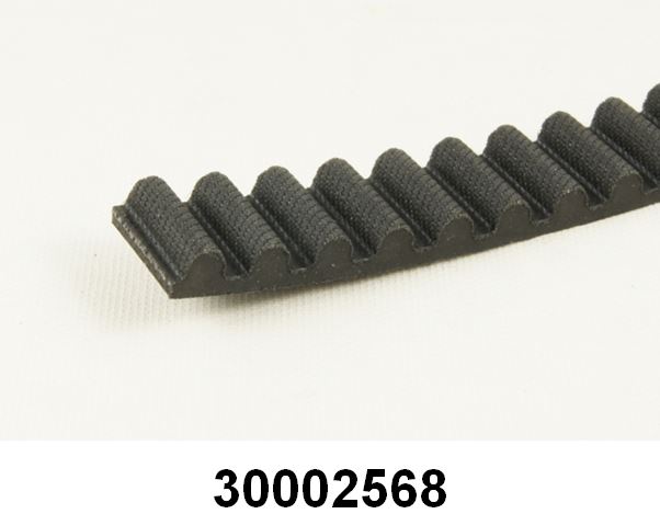 30002568_Bild_2.JPG
